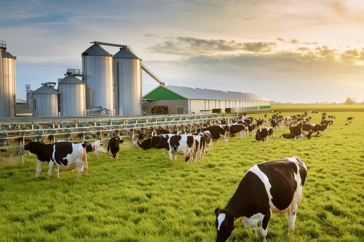 Subsidieregeling extensivering melkveehouderij stimuleert lagere emissies